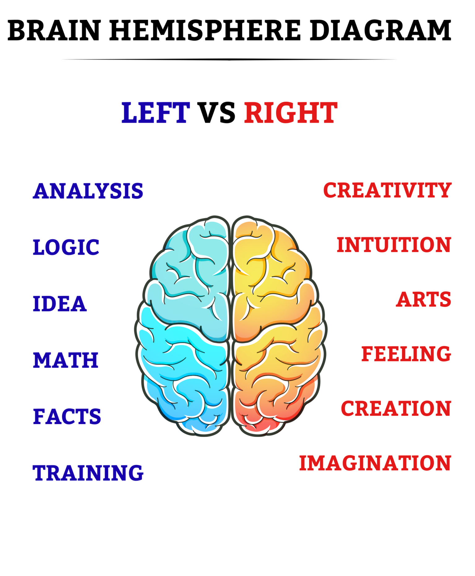 brain hemisphere diagram, brain lobes functions